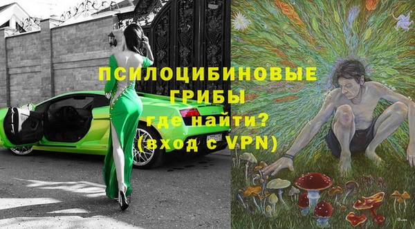 дживик Алексин