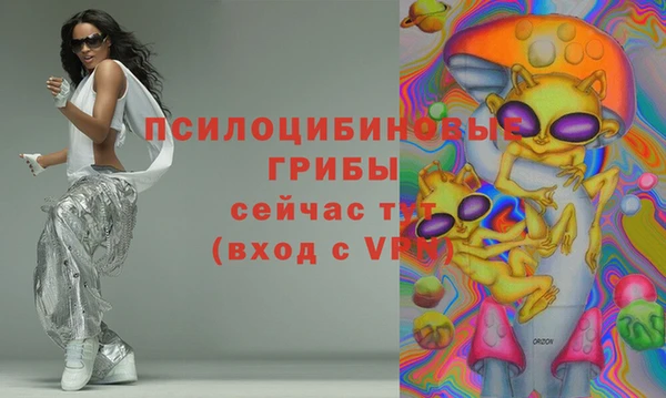 дживик Алексин