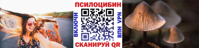 Псилоцибиновые грибы GOLDEN TEACHER  Черепаново 